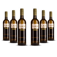 Bodegas LAN Rueda Verdejo 2023er Rueda (6 x 0,75l)