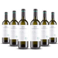 Tavignano Verdicchio Classico Superiore (bio) 2023er Marken (6 x 0,75l)