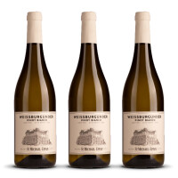 St. Michael Eppan Alto Adige Pinot Bianco 2023er Trentino-Alto Adige (3 x 0,75l)