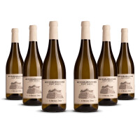 St. Michael Eppan Alto Adige Pinot Bianco 2023er Trentino-Alto Adige (6 x 0,75l)