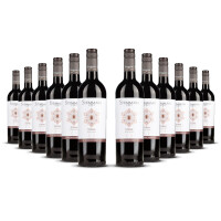 Stemmari Syrah IGT 2022er Sizilien (12 x 0,75l)