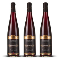 Wolfberger Pinot Noir dAlsace 2023er Elsass (3 x 0,75l)