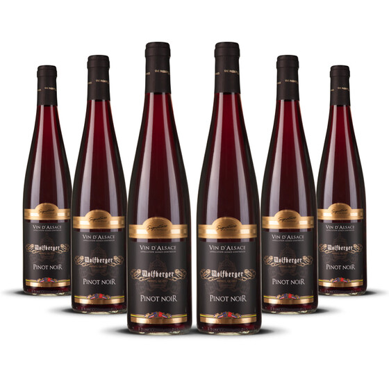 Wolfberger Pinot Noir dAlsace 2023er Elsass (6 x 0,75l)