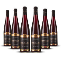 Wolfberger Pinot Noir dAlsace 2023er Elsass (6 x 0,75l)