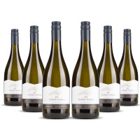 Sierra Noble Chardonnay Südafrika 2024er Western Cape (6 x 0,75l)