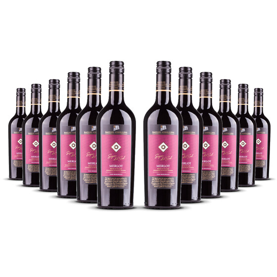 Sogno del Sud Merlot (bio) 2023er Sizilien (12 x 0,75l)