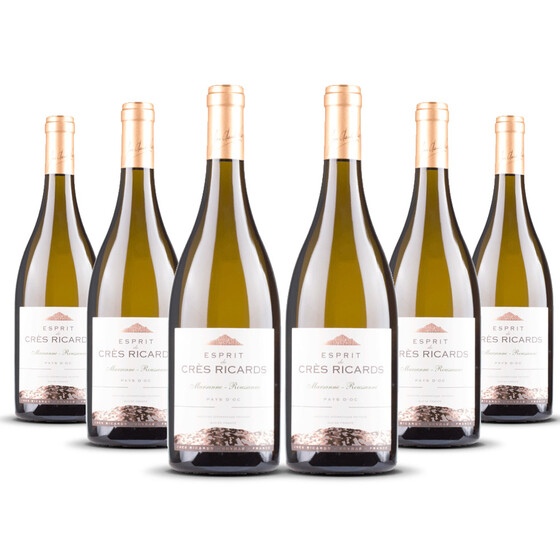 Esprit de Crès Ricards Marsanne / Roussanne 2023er Süd-Frankreich (6 x 0,75l)