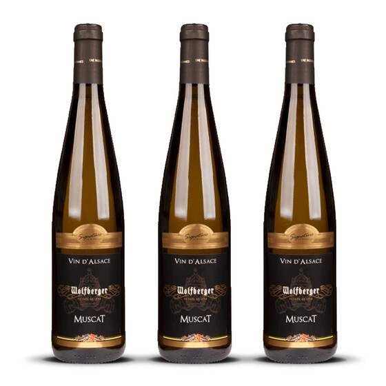 Wolfberger Muscat Signature 2023er Elsass (3 x 0,75l)