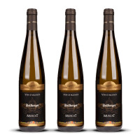 Wolfberger Muscat Signature 2023er Elsass (3 x 0,75l)