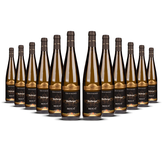 Wolfberger Muscat Signature 2023er Elsass (12 x 0,75l)