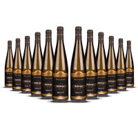 Wolfberger Muscat Signature 2023er Elsass (12 x 0,75l)