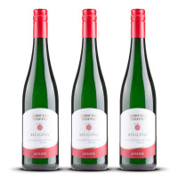 Steffen Trittenheimer Riesling Apotheke Auslese 2023er Mosel (3 x 0,75l)