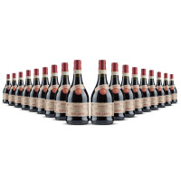 Biscardo Amarone della Valpolicella 2019er Veneto (18 x 0,75l)