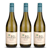 Bon Courage Chardonnay Unwooded 2024er Robertson (3 x 0,75l)