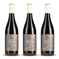 Antiche Terre Venete Valpolicella Ripasso Superiore 2021er Veneto (3 x 0,75l)