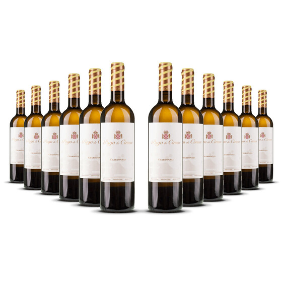 Pago de Cirsus Chardonnay 2023er Navarra (12 x 0,75l)