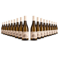 St. Michael Eppan Alto Adige Gewurztraminer 2023er Trentino-Alto Adige (18 x 0,75l)