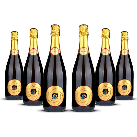 Franciacorta Brut Monzio Compagnoni 2021er Franciacorta (6 x 0,75l)