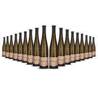 Wolfberger Hengst Grand Cru Pinot Gris 2022er Elsass (18 x 0,75l)