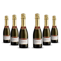 Biscardo Prosecco Spumante 0.375l 2022er Veneto (6 x 0,375l)