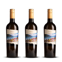 Biscardo Bianco di Custoza 2023er Veneto (3 x 0,75l)