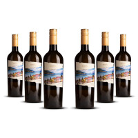 Biscardo Bianco di Custoza 2023er Veneto (6 x 0,75l)