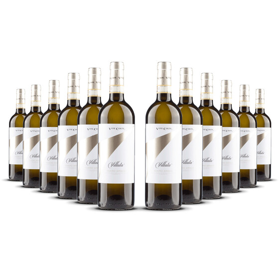 Vite Colte Roero Arneis Villata 2024er Piemont (12 x 0,75l)