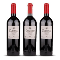 Bodegas LAN Rioja Culmen Reserva 2019er Rioja (3 x 0,75l)