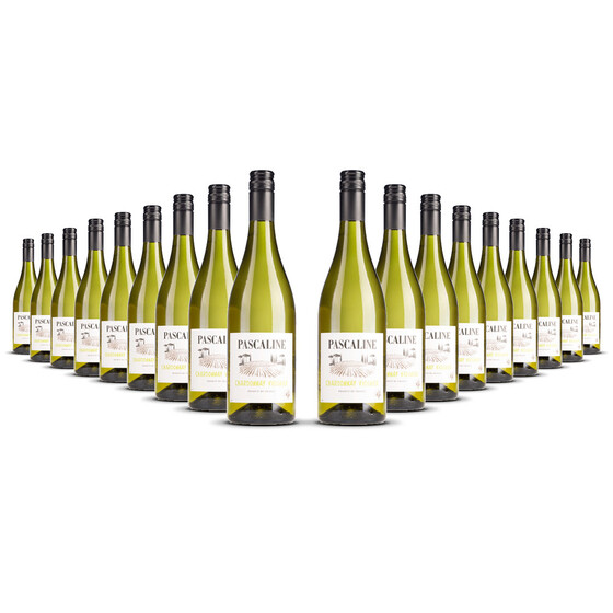 Pascaline Chardonnay / Viognier 2023er Süd-Frankreich (18 x 0,75l)