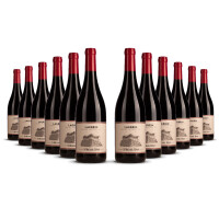 St. Michael Eppan Alto Adige Lagrein 2023er Trentino-Alto Adige (12 x 0,75l)