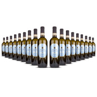 Vite Colte Gavi di Gavi Masseria dei Carmelitani 2024er Piemont (18 x 0,75l)