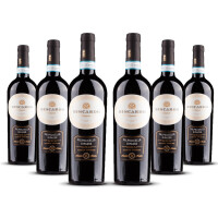 Biscardo Ripasso della Valpolicella 2021er Veneto (6 x 0,75l)