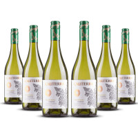 Caliterra Reserva Chardonnay 2023er Casablanca Valley (6 x 0,75l)