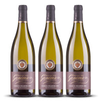 Domaine des Genï¿½ves Chablis 1e Cru Les Fourneaux 2022er Burgund (3 x 0,75l)