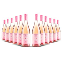 Stemmari Nero dAvola Rosato IGT 2024er Sizilien (12 x 0,75l)