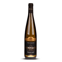 Wolfberger Pinot Gris Signature 2023er Elsass (1 x 0,75l)