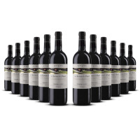 Vite Colte Barbera dAsti Superiore Luna e i Falo 2021er Piemont (12 x 0,75l)