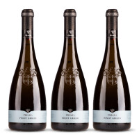 Cielo Pradio Friuli Pinot Grigio 2024er Friaul (3 x 0,75l)