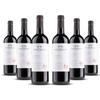 Tavignano Rosso Piceno (bio) 2022er Marken (6 x 0,75l)