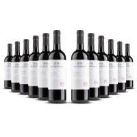 Tavignano Rosso Piceno (bio) 2022er Marken (12 x 0,75l)