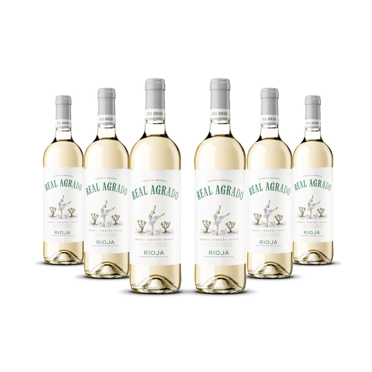 Real Agrado Rioja Blanco 2024er Rioja (6 x 0,75l)