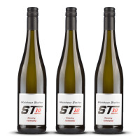 Steffen Riesling Feinherb Cuvee #10 2024er Mosel (3 x 0,75l)