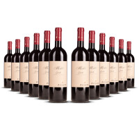 Zenato Merlot delle Garda 2020er Veneto (12 x 0,75l)