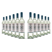 Stemmari Pinot Grigio 2024er Sizilien (12 x 0,75l)