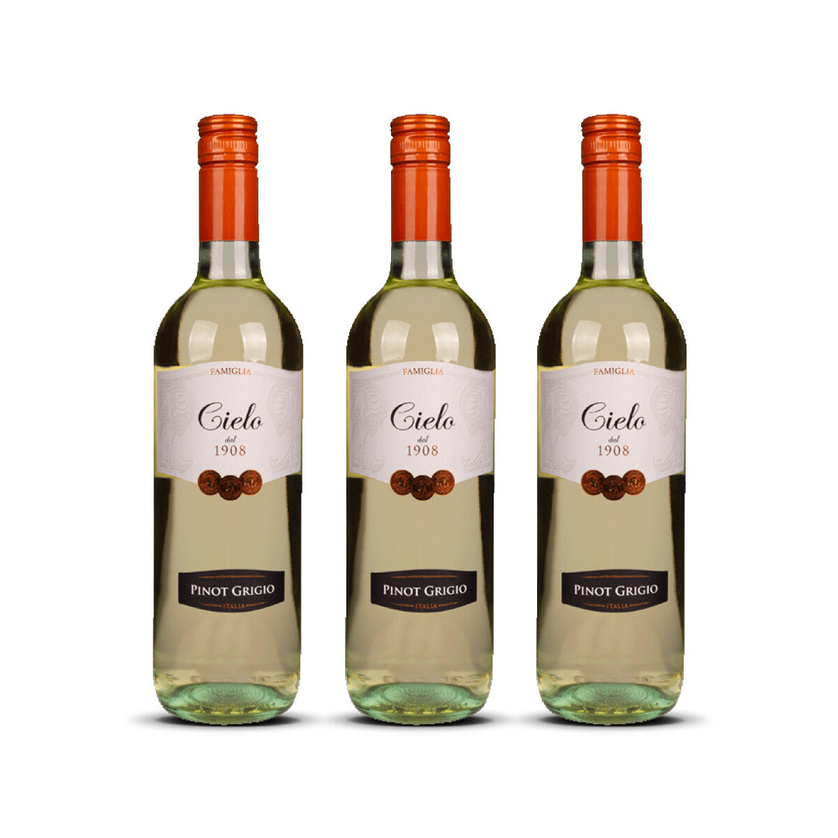 Cielo Pinot Grigio IGT Veneto 2024er Veneto (3 x 0,75l)