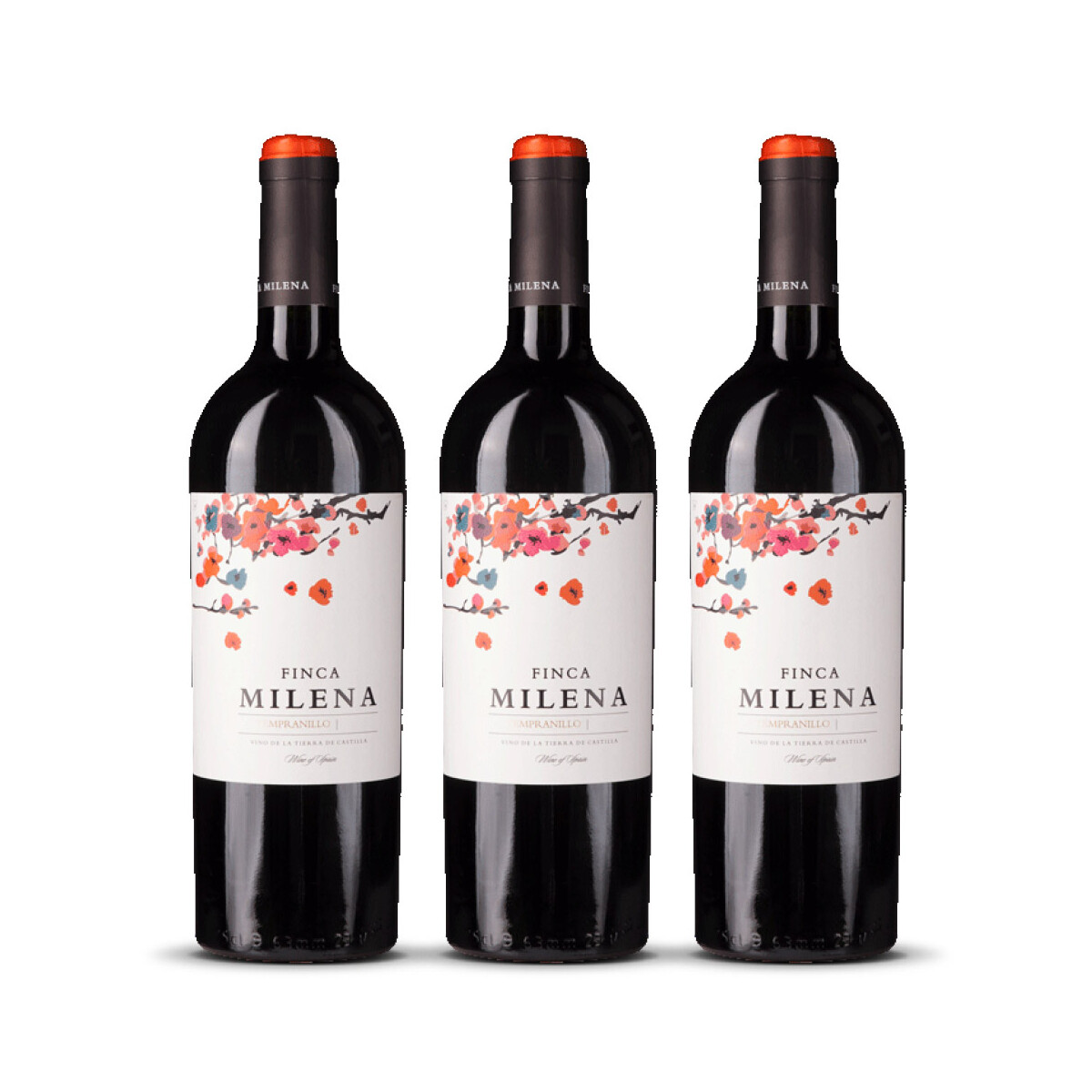 Finca Milena Tempranillo/Shiraz Castilla (bio) 2024er...