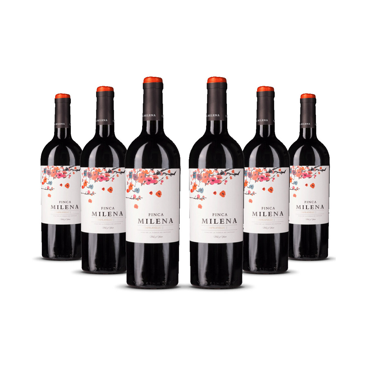 Finca Milena Tempranillo/Shiraz Castilla (bio) 2024er...