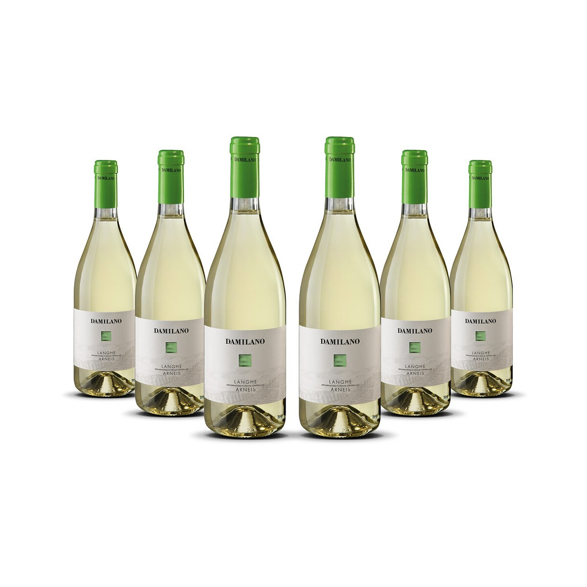 Damilano Langhe Arneis Bianco 2024er Piemont (6 x 0,75l)