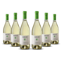 Damilano Langhe Arneis Bianco 2024er Piemont (6 x 0,75l)