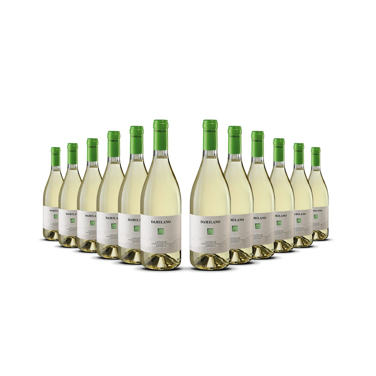 Damilano Langhe Arneis Bianco 2024er Piemont (12 x 0,75l)